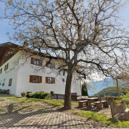 Moar Im Rumsein - Apt Saltenblick Terlano Extérieur photo